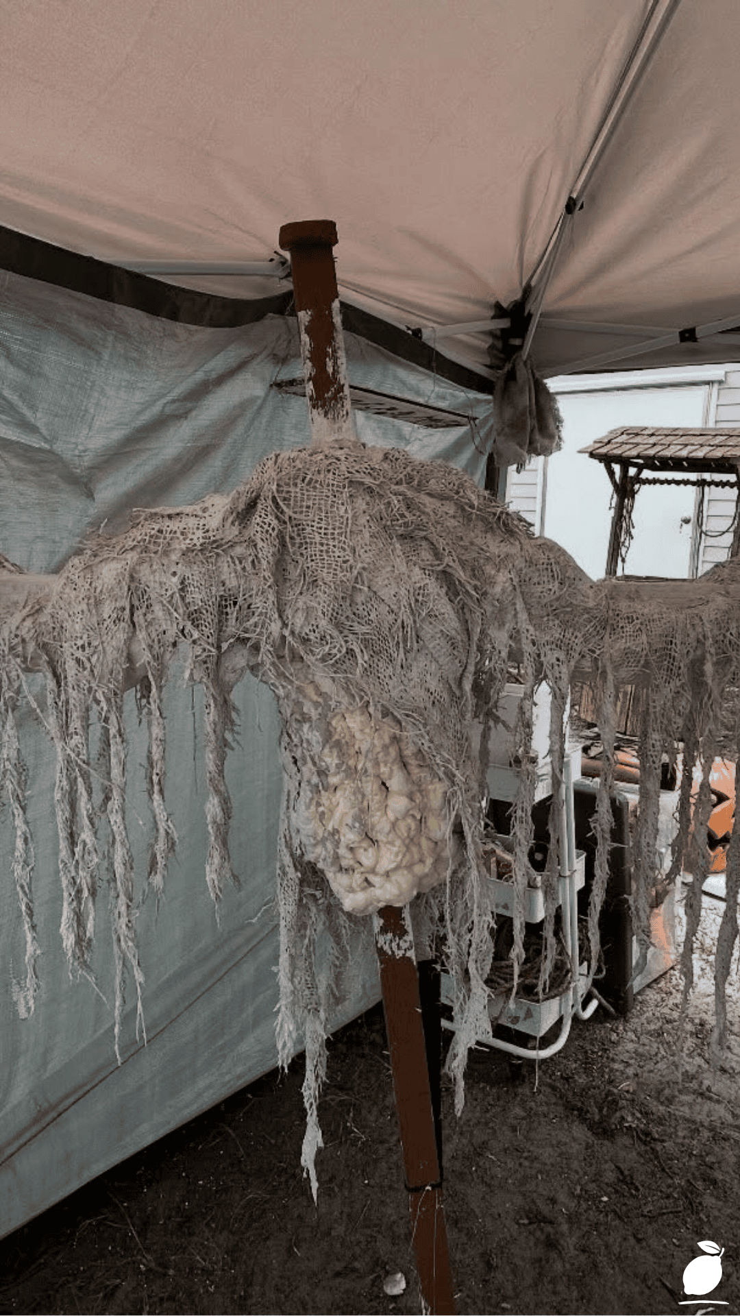 DIY Scarecrows for Garden