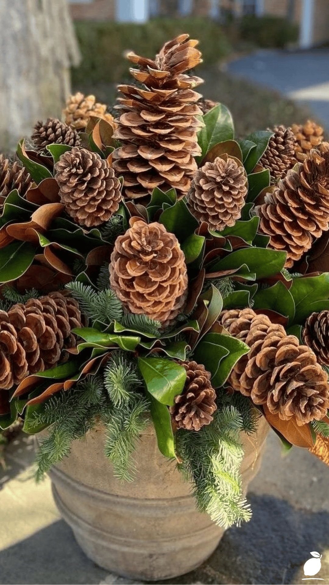 DIY Thanksgiving Centerpieces