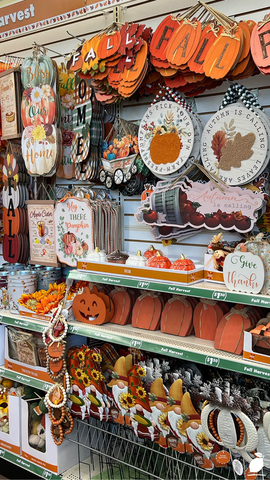 The Pioneer Woman’s Thanksgiving Shopping List
