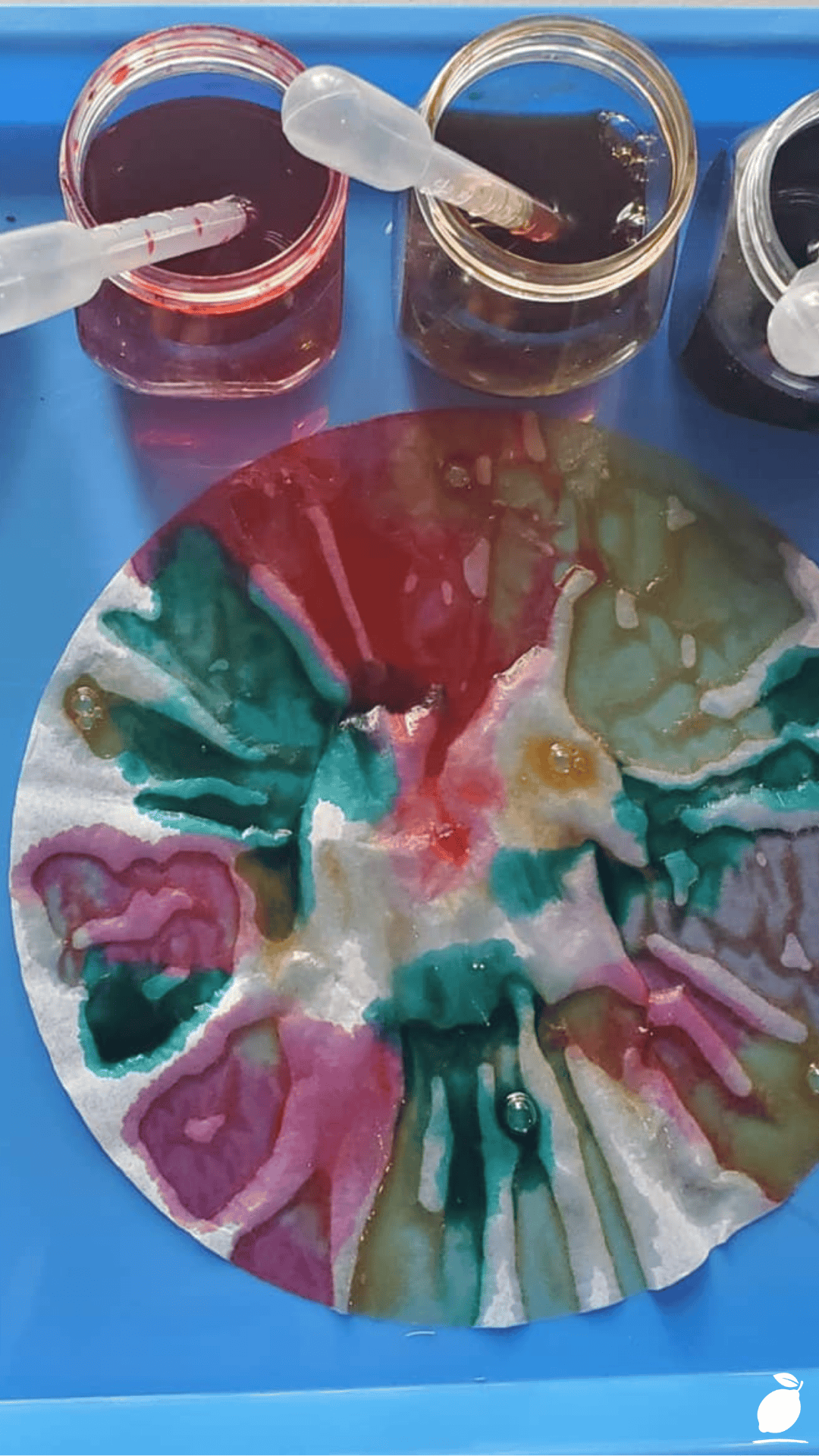 Coffee Filter Turkeys Thanksgiving Craft For Kids