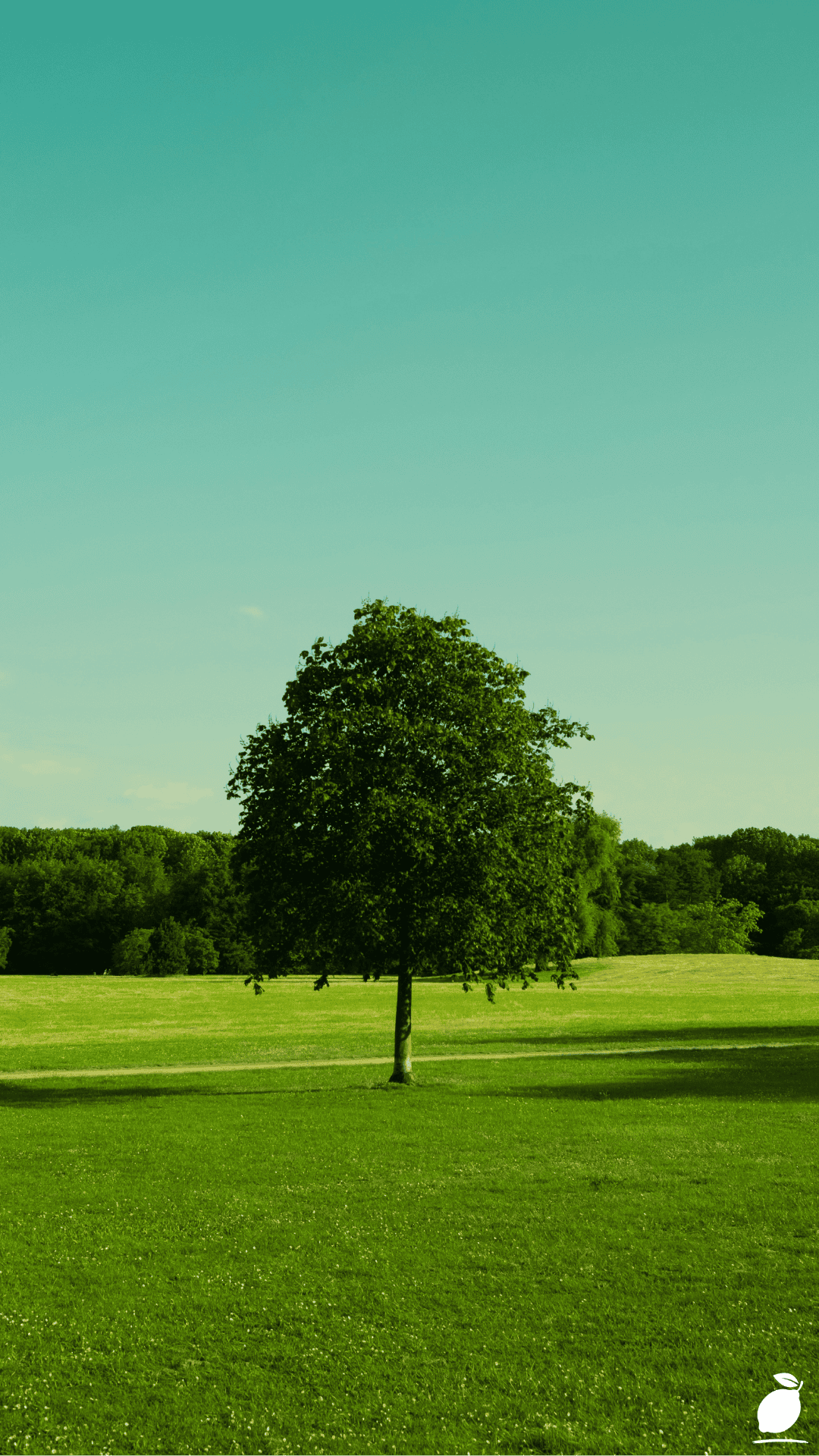 How to Permanently Kill Weeds and Grass