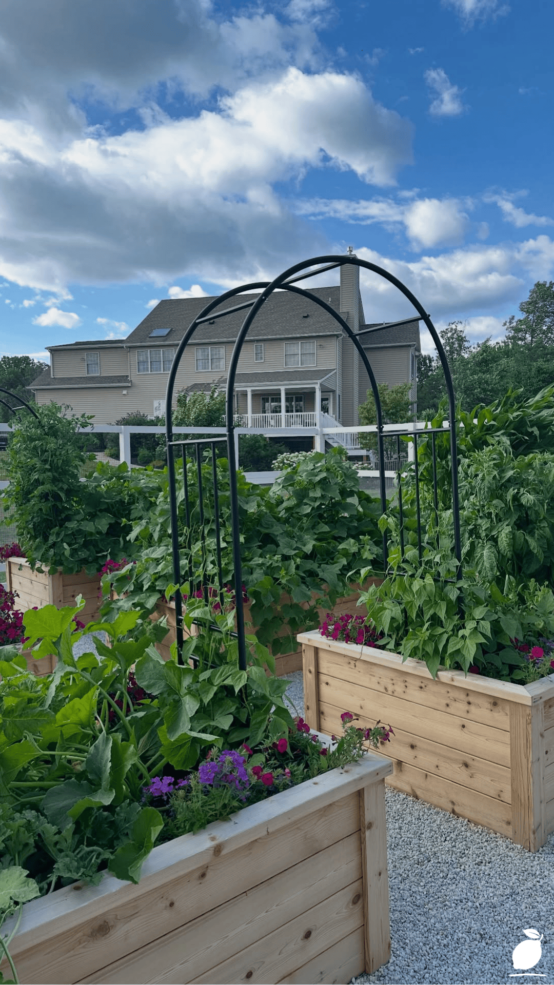 Why Did I Stop Using Raised Garden Beds?