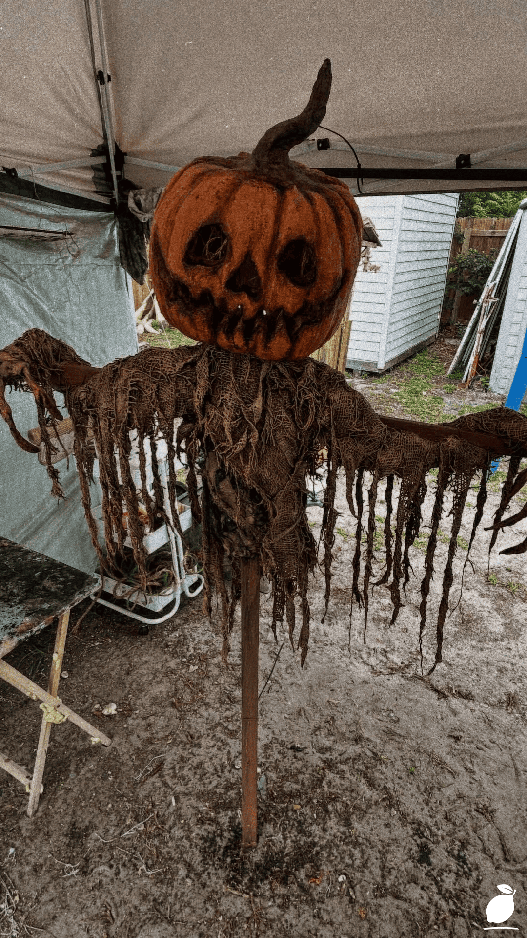 DIY Scarecrows for Garden