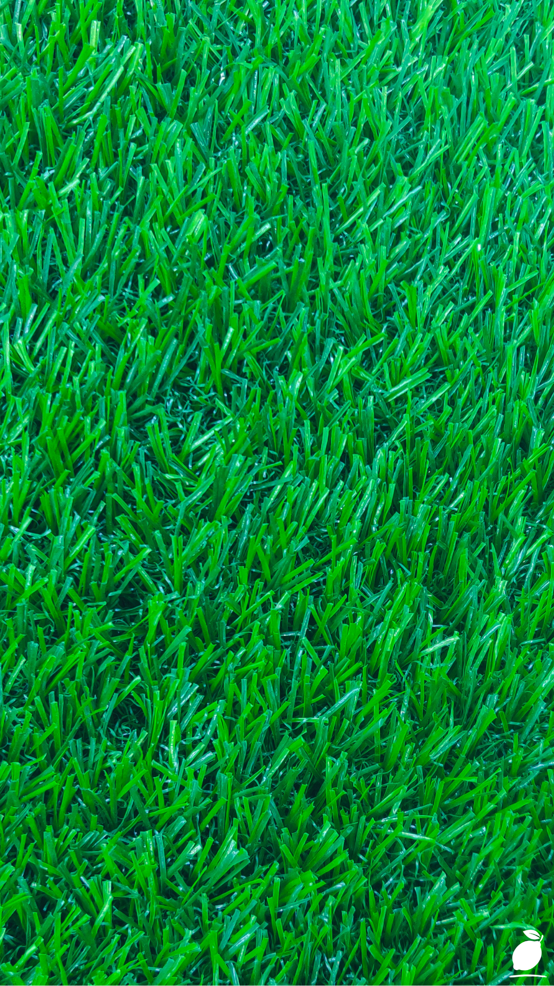 How to Permanently Kill Weeds and Grass