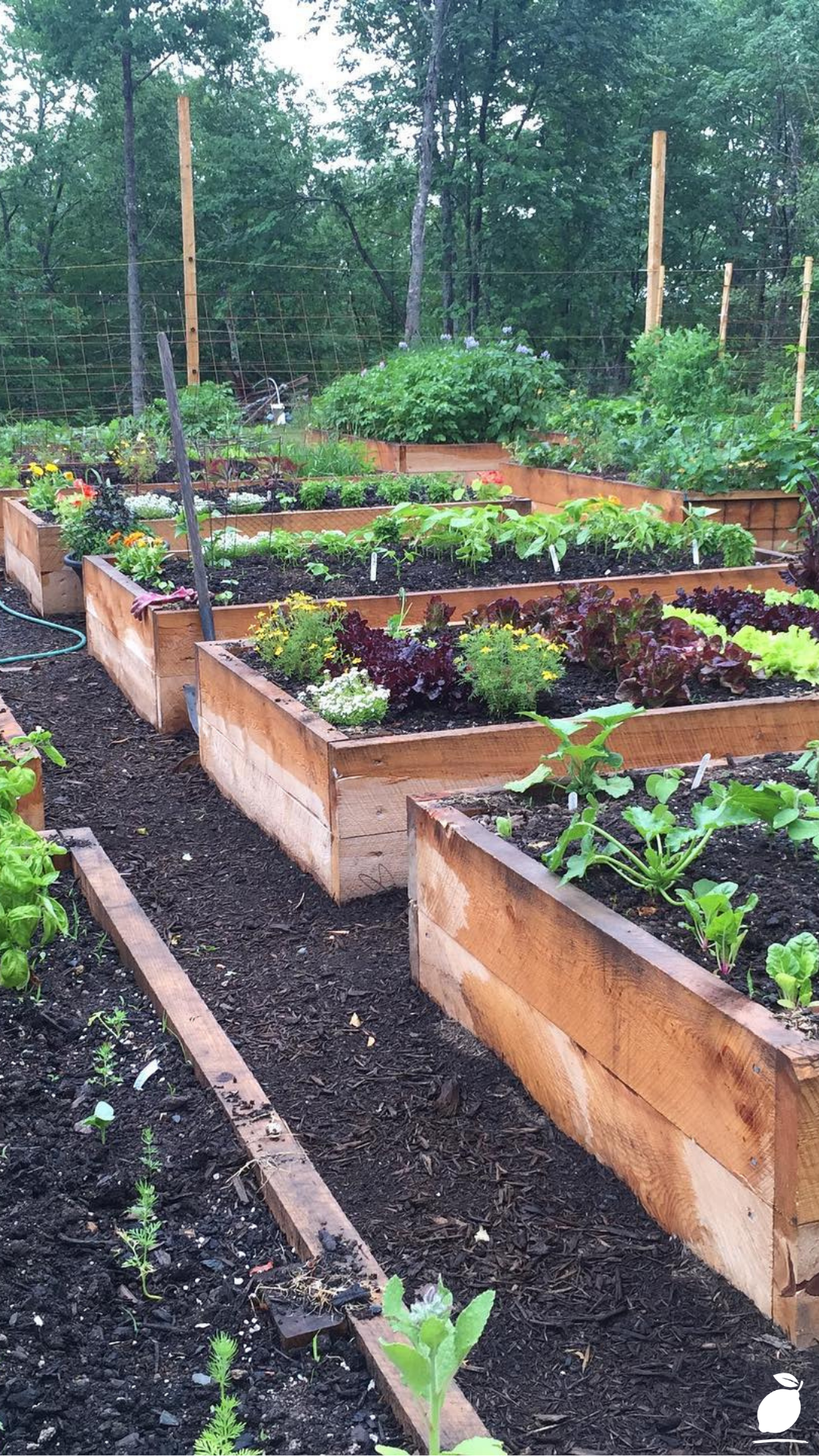 Why Did I Stop Using Raised Garden Beds?