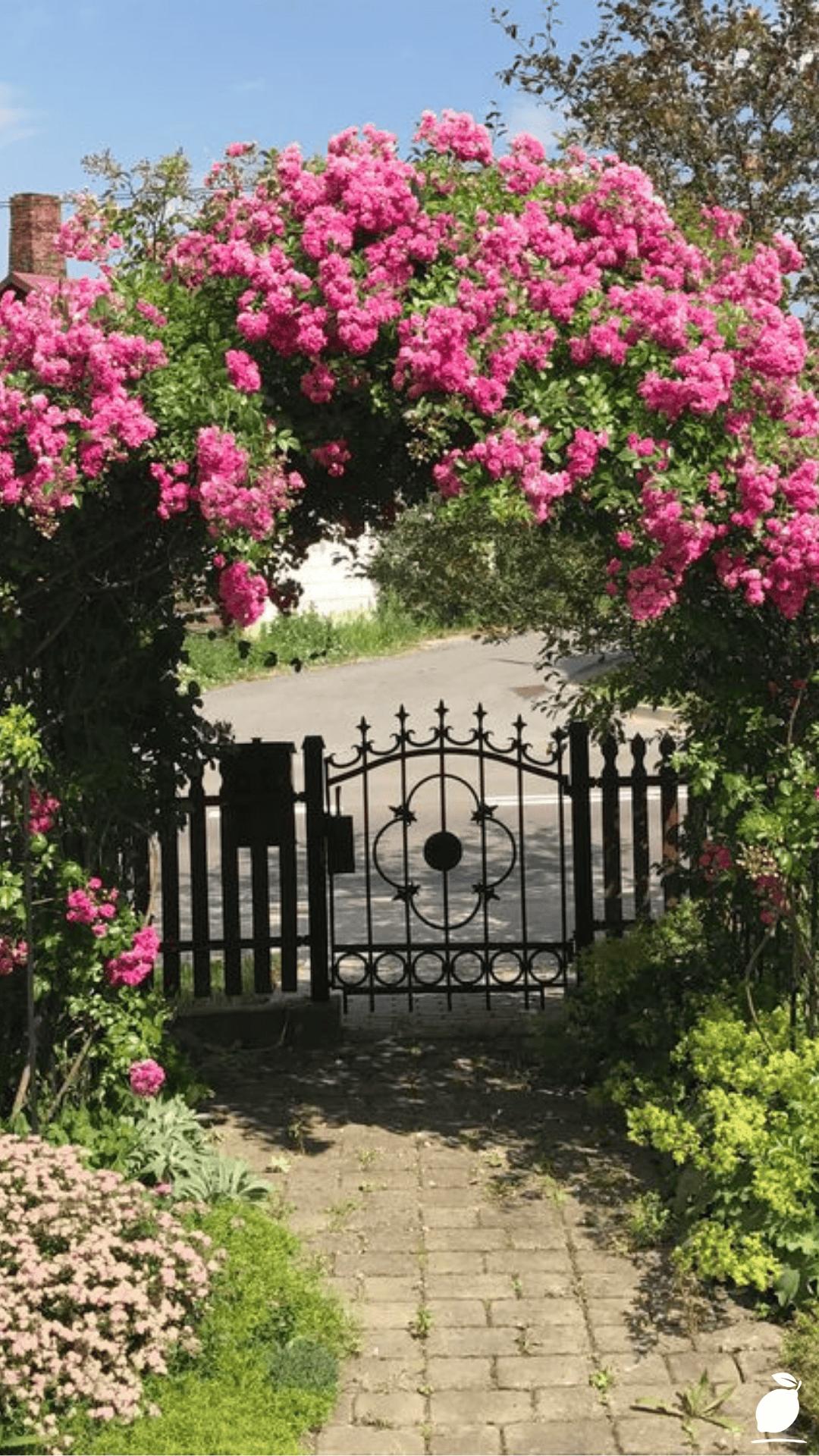 How I Used Garden Arch Ideas