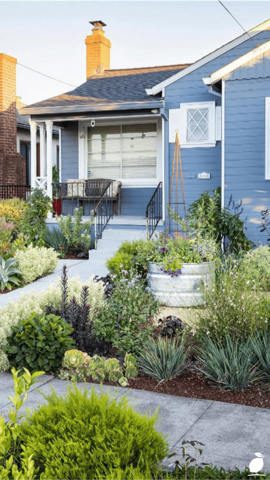 Low-Maintenance Plants for Front Yard