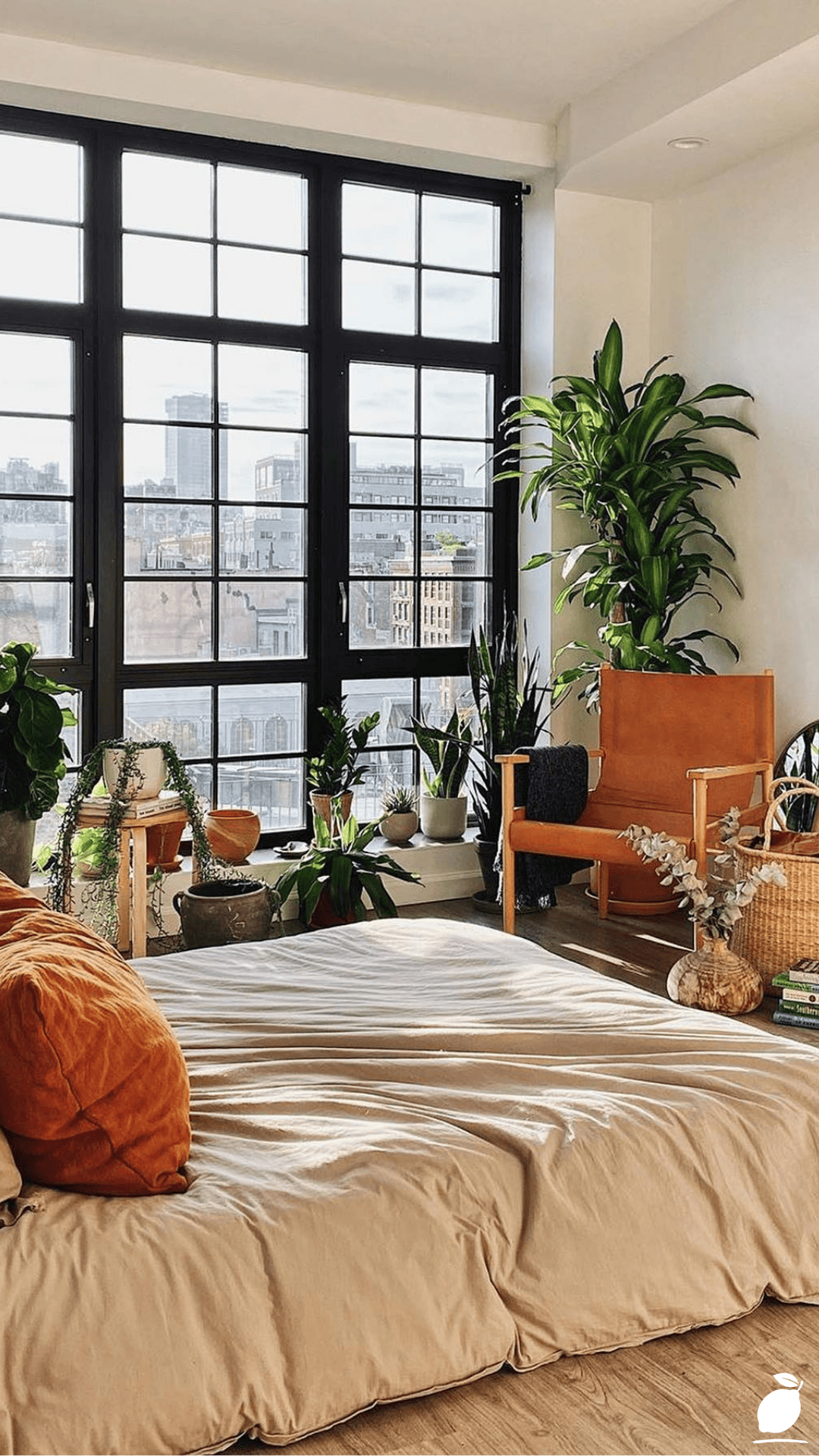 Hard-to-kill Houseplants For Apartments With Low Light