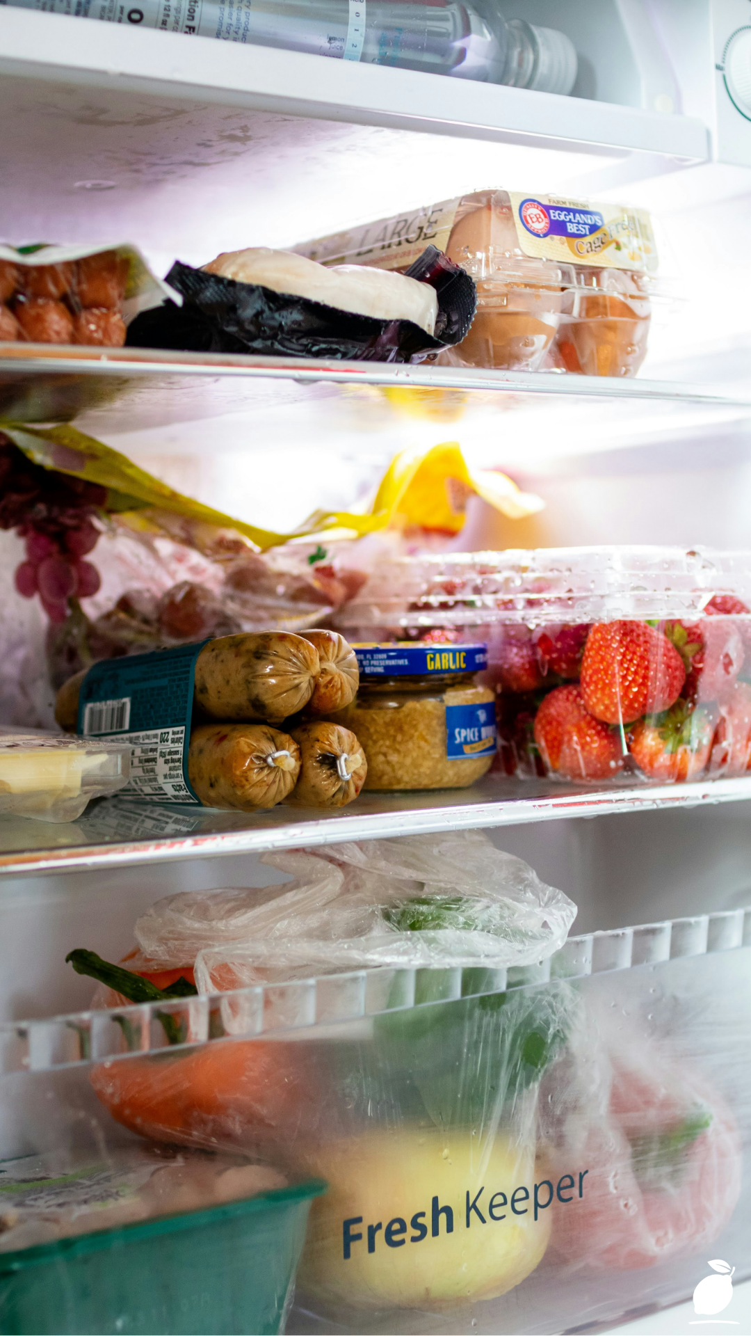 How to Clean and Organize Your Fridge