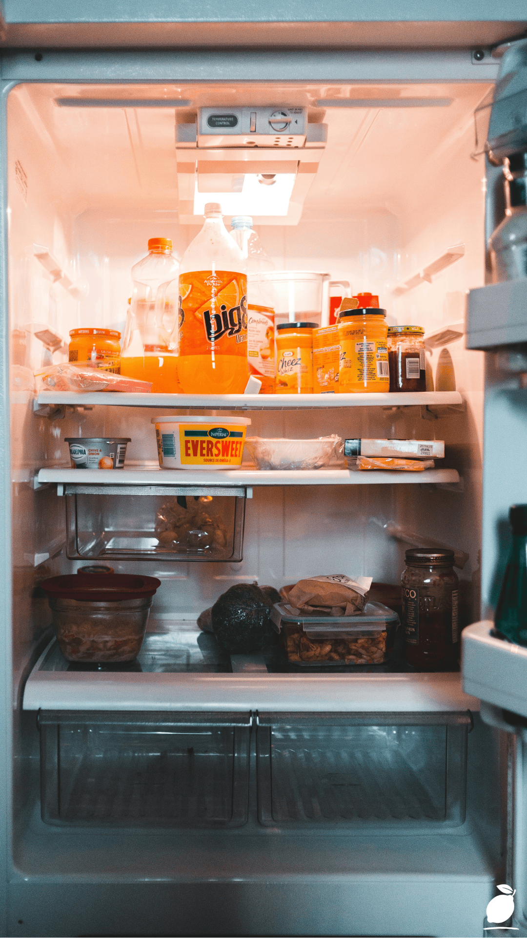 How to Clean and Organize Your Fridge